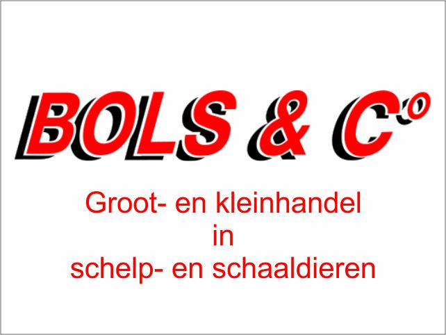 Klik om te vergroten